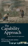 The capability approach : concepts, measures and applications.