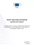 Adult learning statistical synthesis report