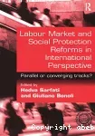 Labour Market and Social Protection Reforms in International Perspective: Parallel or Converging Tracks?