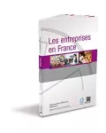 Les entreprises en France. Edition 2017